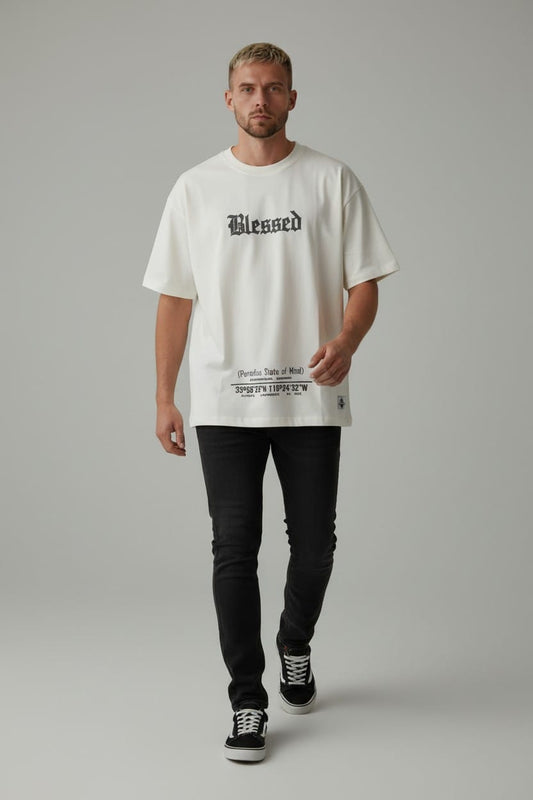 Camiseta Oversize BLESSED PARADISE GTTO 260GRS
